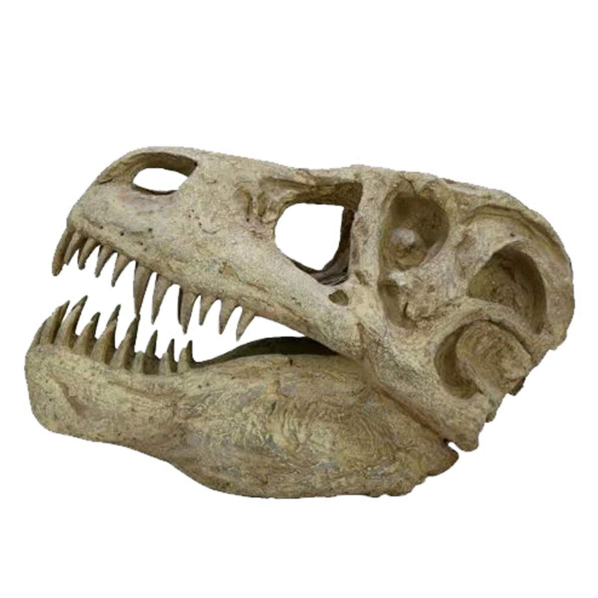 ✨大迫力✨ トリケラトプス 恐竜の化石 レプリカ ジュラシックワールド